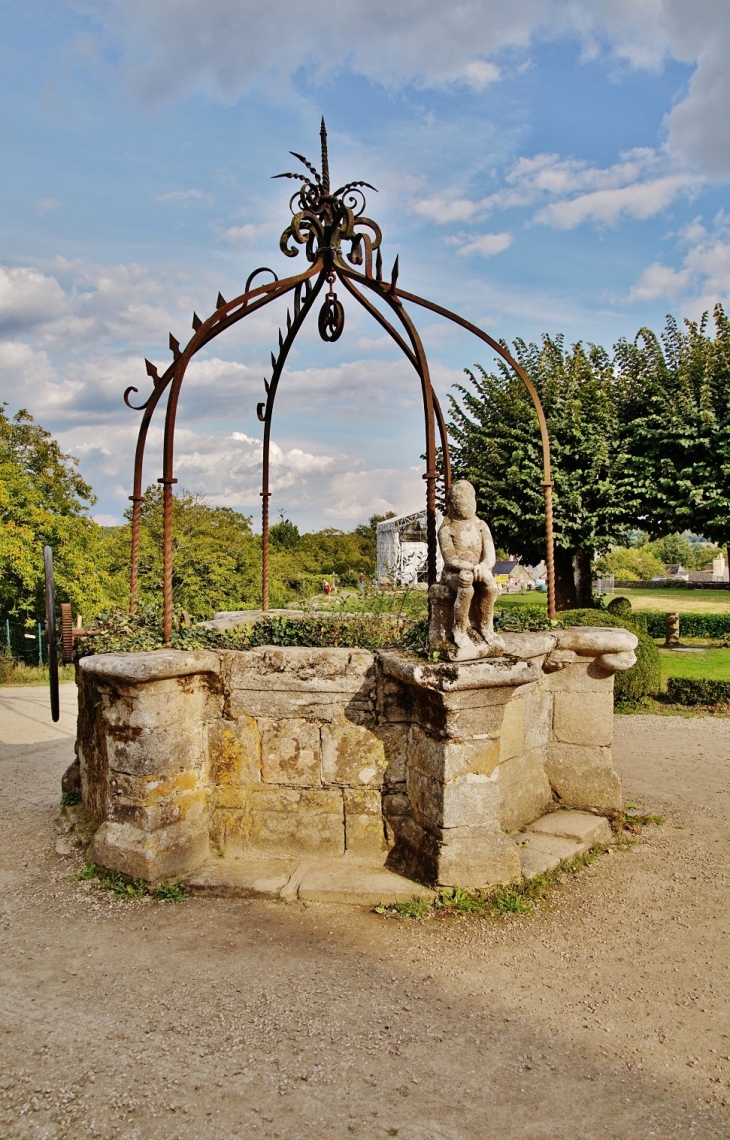 Le Château ( Le Puits ) - Rochefort-en-Terre