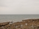 Photo précédente de Saint-Gildas-de-Rhuys la Mer