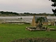 Photo suivante de Saint-Philibert La fontaine à la Croix
