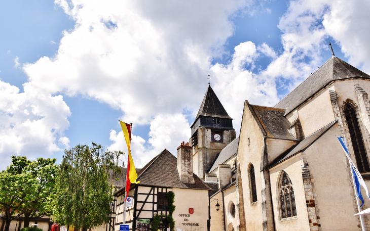  église Saint-Martin - Aubigny-sur-Nère