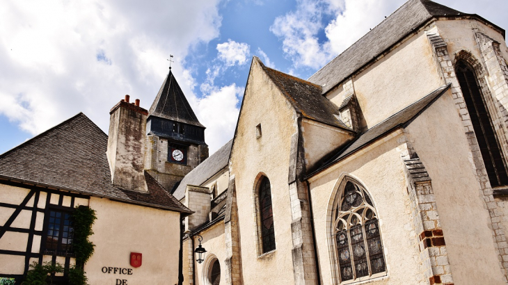  église Saint-Martin - Aubigny-sur-Nère