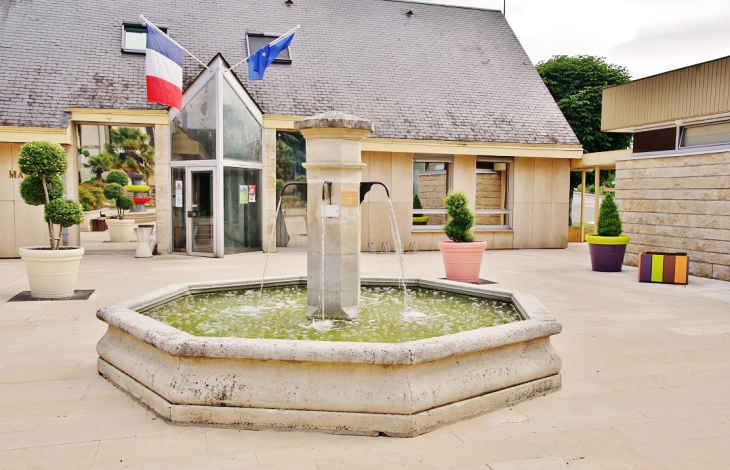 Fontaine - Belleville-sur-Loire