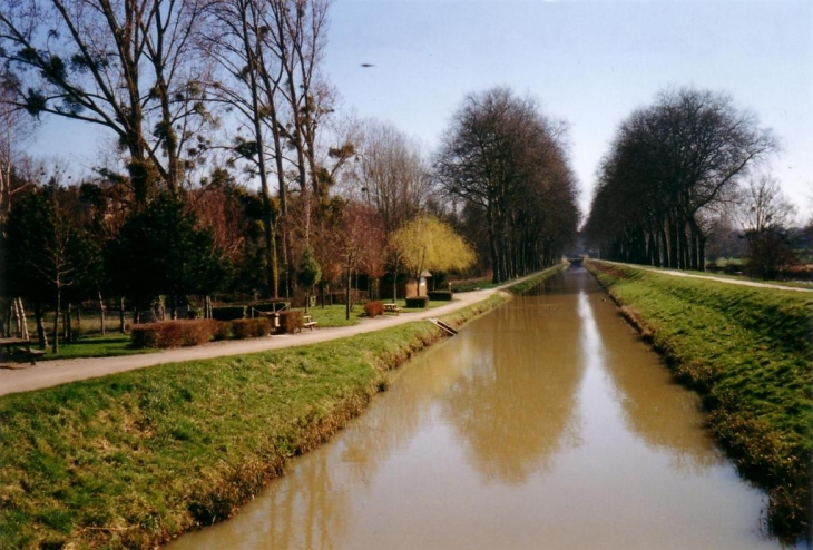 Le Canal de la Sauldre - Blancafort