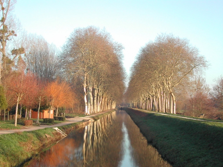 Le Canal de la Sauldre - Blancafort
