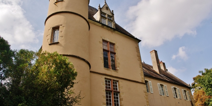 Le Château - Garigny