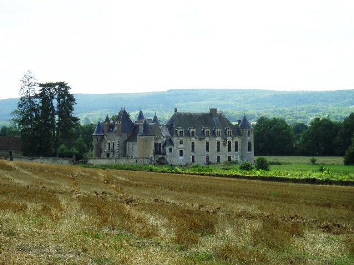 Le château de Boucard - Le Noyer