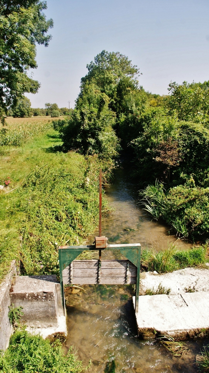 Ruisseau de Ragnon - Lugny-Champagne