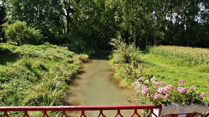 Ruisseau de Ragnon - Lugny-Champagne