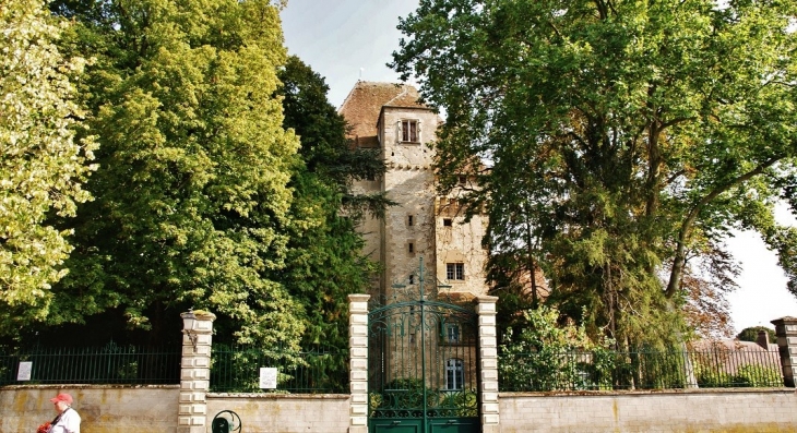 Donjon de l'ancien Château ( 15 Em siècle ) - Nérondes