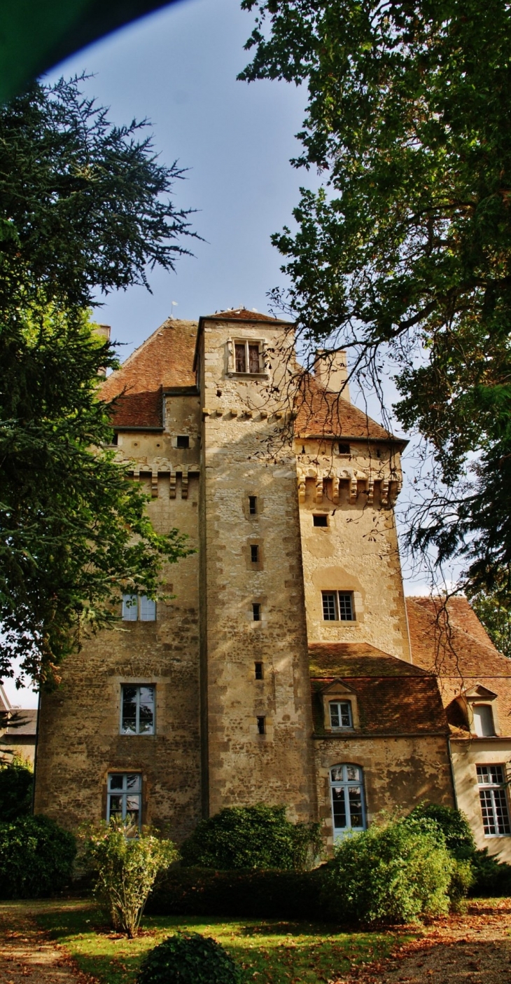 Donjon de l'ancien Château ( 15 Em siècle ) - Nérondes