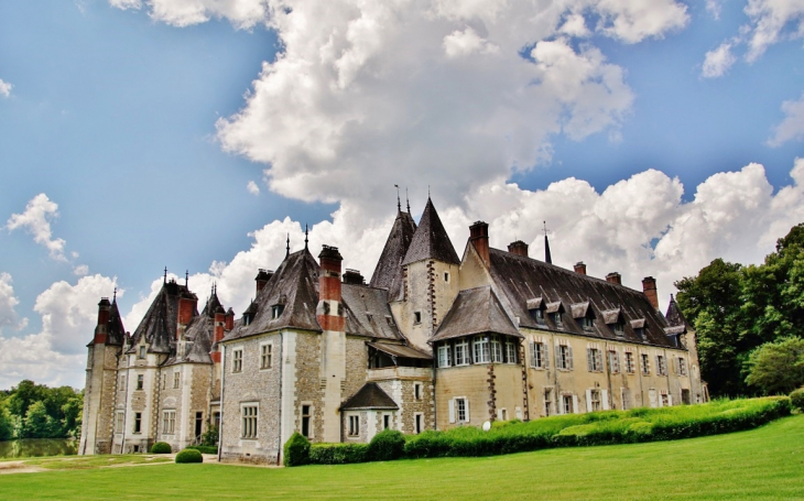  Château de la Verrerie - Oizon