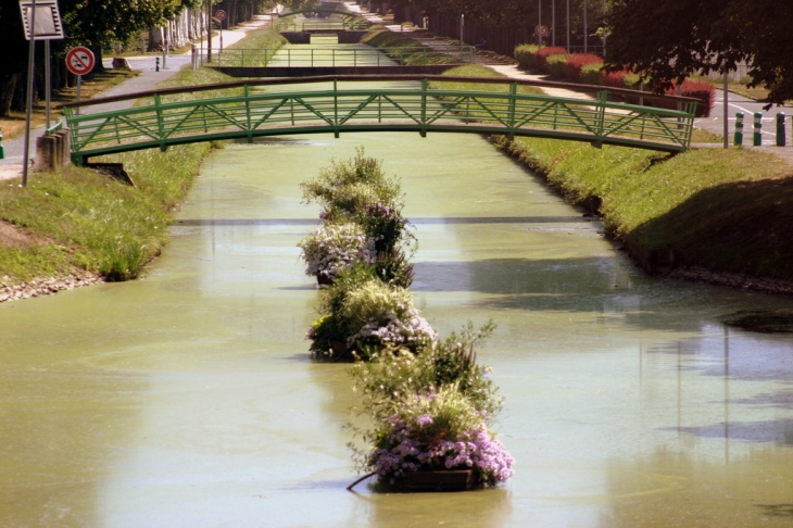 Canal route de montlucon - Saint-Amand-Montrond