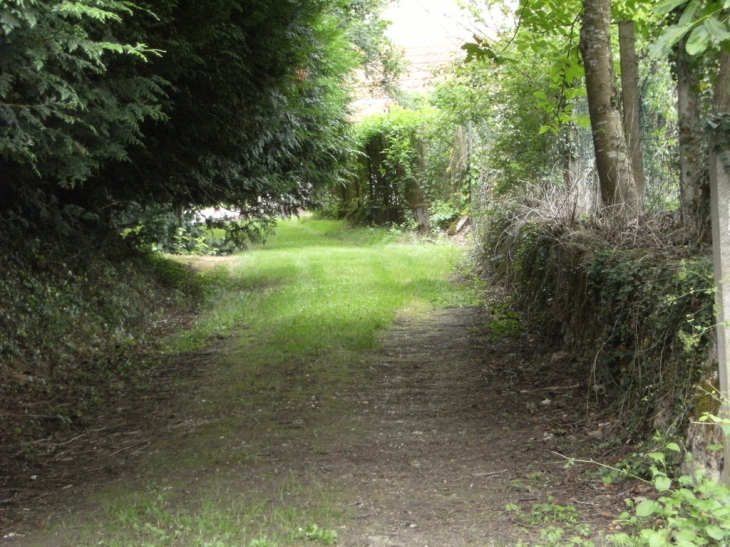 Il reste encore des petit chemins dans le village - Saint-Léger-le-Petit