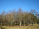Photo précédente de Saint-Pierre-les-Bois Alentours des étangs de Bois Doré