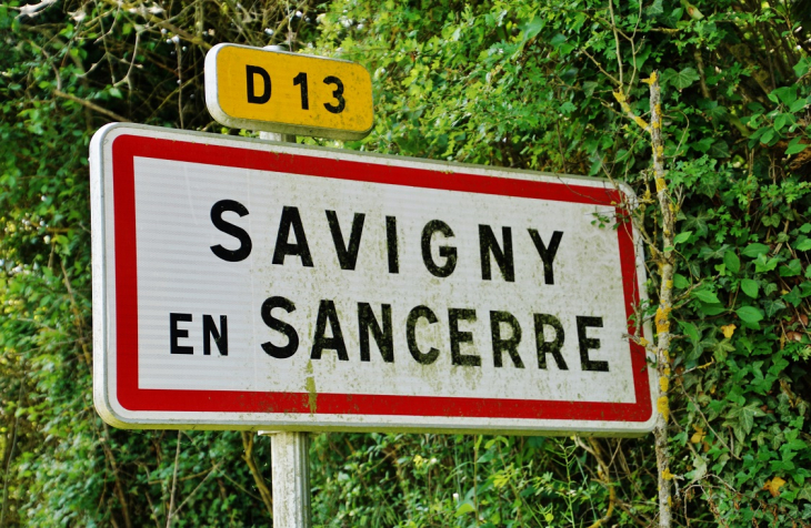  - Savigny-en-Sancerre