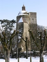 Le donjon d'auneau, vestiges du château