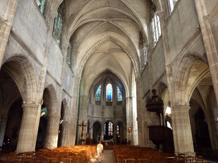 Nef église St Pierre - Dreux