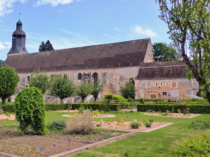 église abbatiale sainte Trinité vue du jardin de l'abbaye - Thiron Gardais