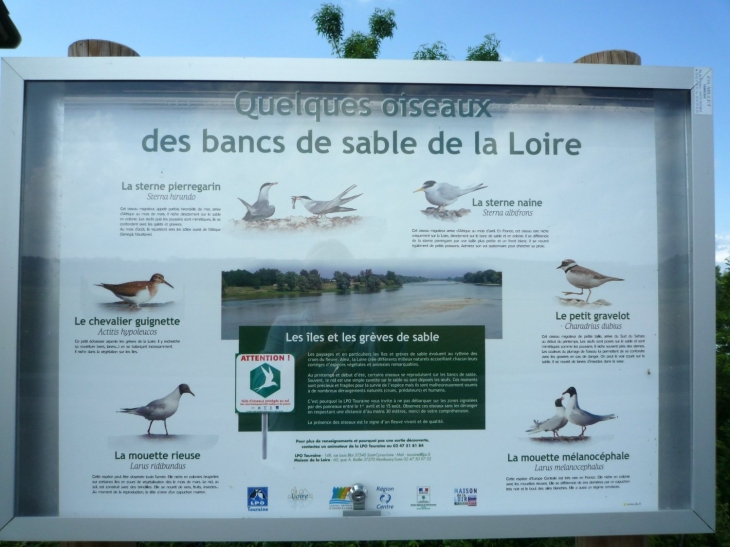 Affichage des oiseaux de LOIRE - Bréhémont