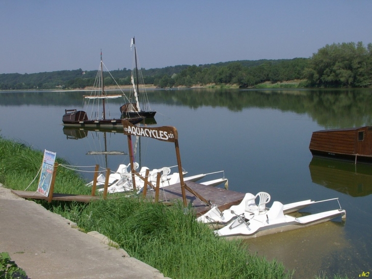 La Loire - Bréhémont