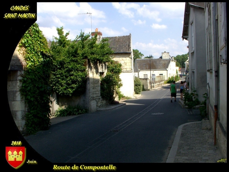 Route de Compostelle - Candes-Saint-Martin