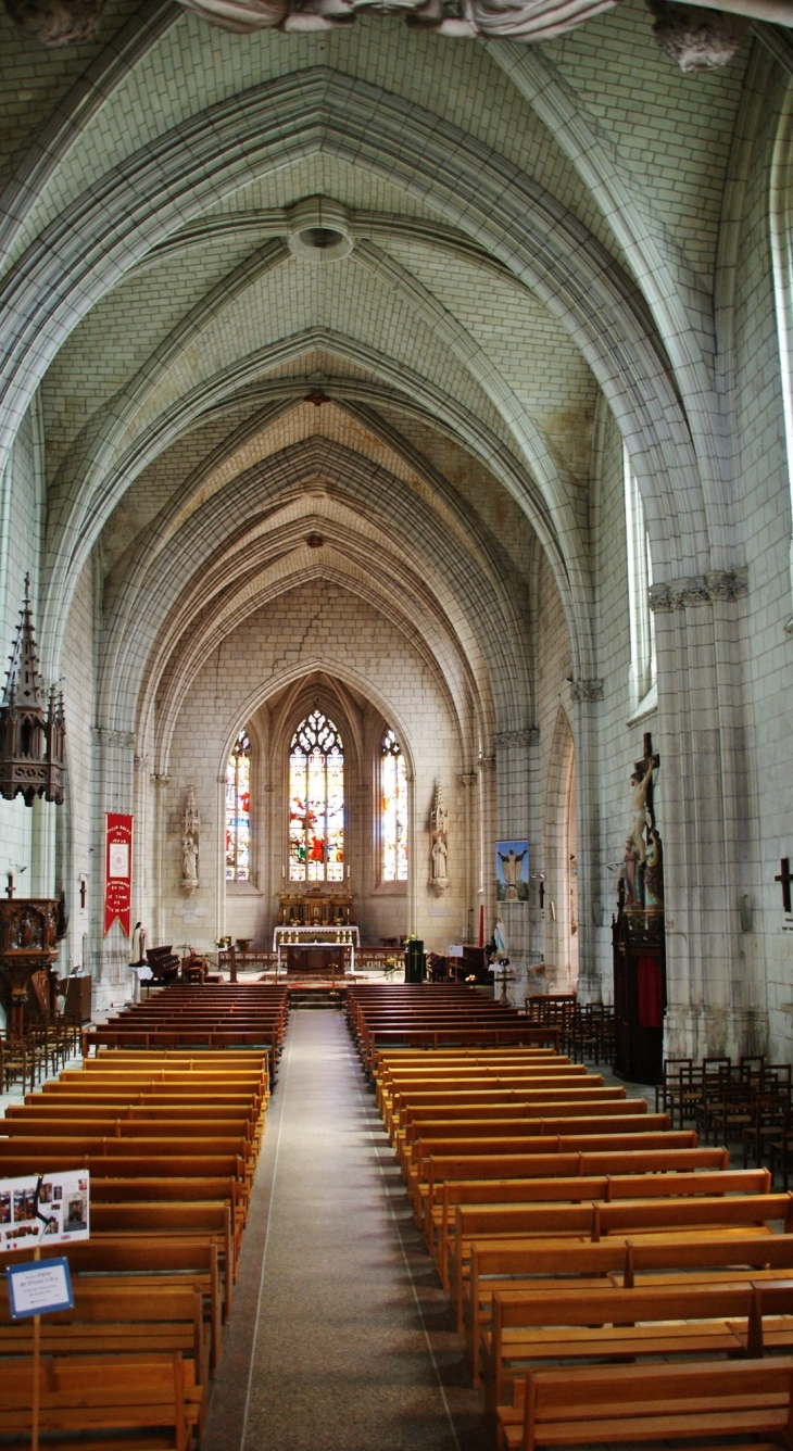 ²église Saint-Etienne - Chinon