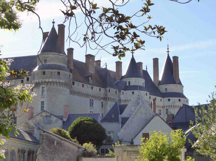 Vue sur le château et les toits - Langeais