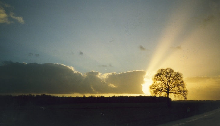 La Campagne coté Gd Pressigny - Le Grand-Pressigny