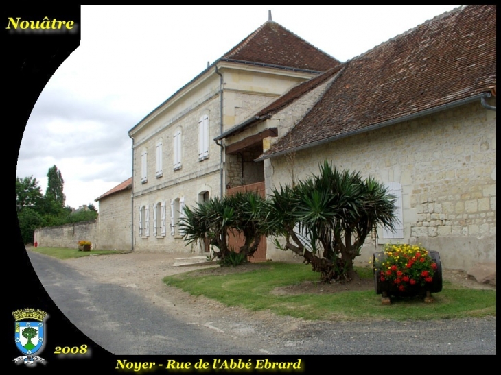 Noyer, rue de l'abbé Ebrard - Nouâtre