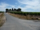 Photo suivante de Savigny-en-Véron les veaux :le moulin des veaux