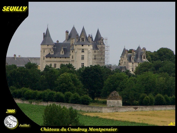 Château du Coudray Montpensier - Seuilly