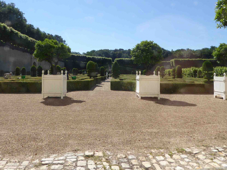 Le jardin d'ornement à la sortie du château - Villandry