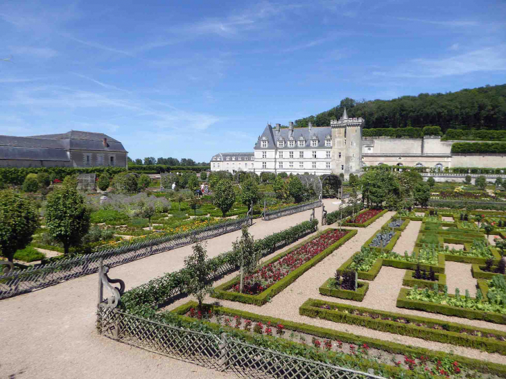 Le château vu des jardins - Villandry