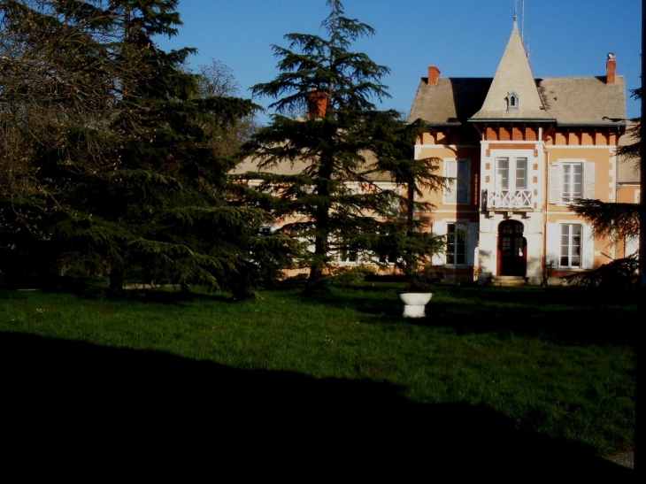 Chateau de la Villeneuve - Jeu-les-Bois