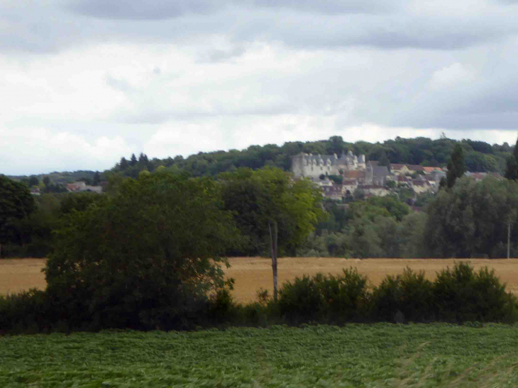 Vue sur le village et son château - Palluau-sur-Indre