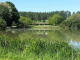 Etang des Buissons à Pellevoisin