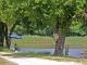 Photo suivante de Rosnay A l'étang du Coudreau.