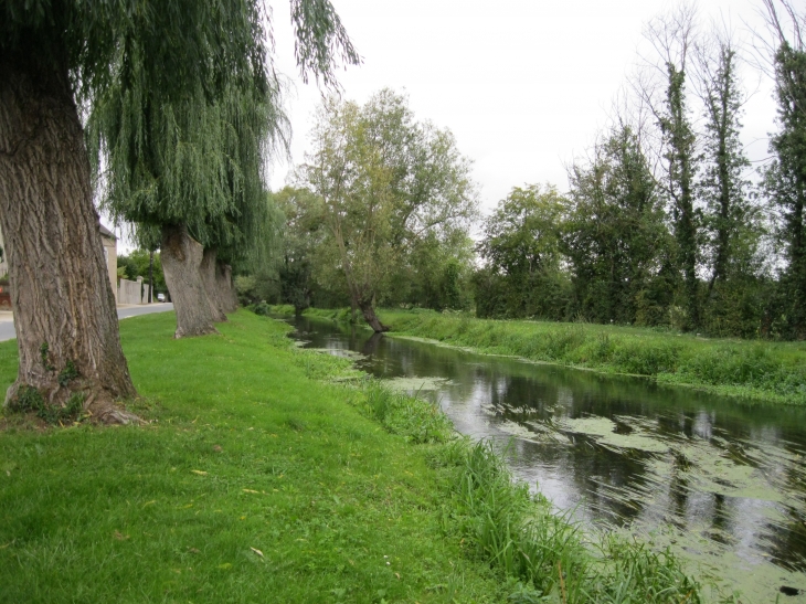 Le canal - Saint-Genou