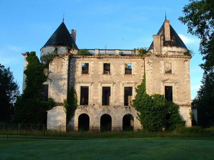 Ruines du château - Villedieu-sur-Indre