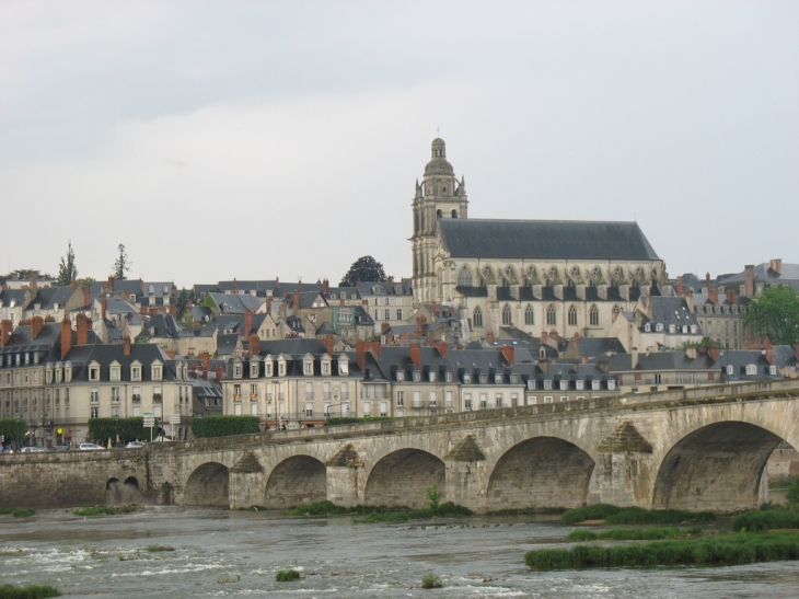 Blois et vue sur la Cathédrale Saint-Louis
