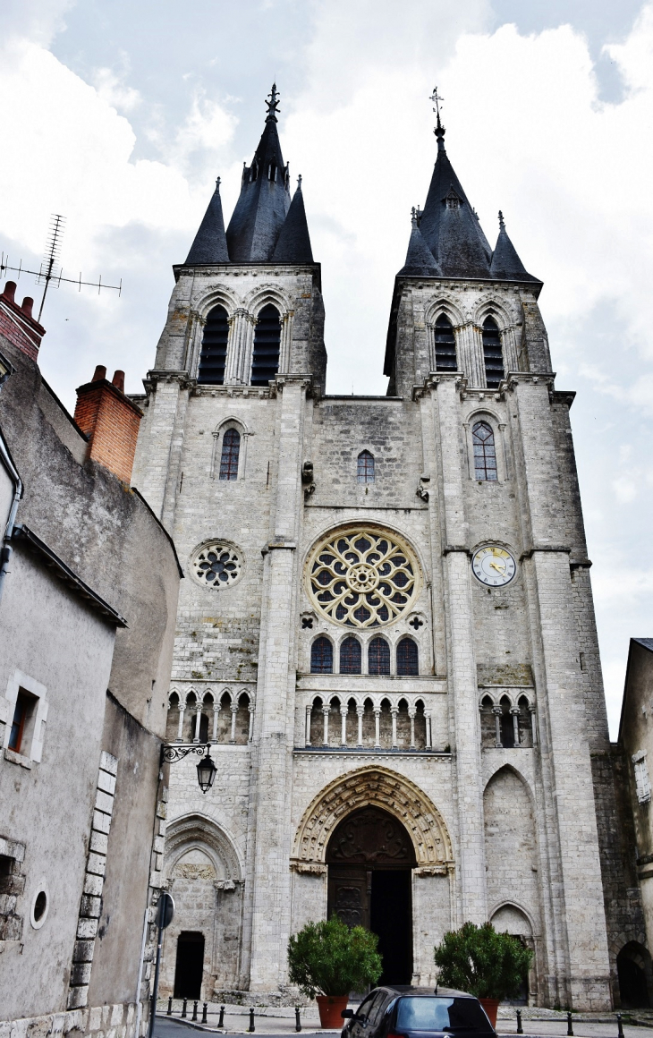Cathédrale Saint-Louis - Blois