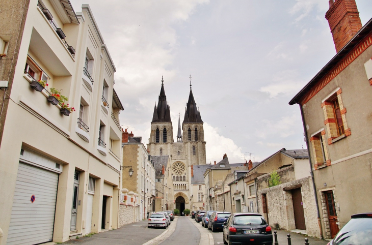 Cathédrale Saint-Louis - Blois