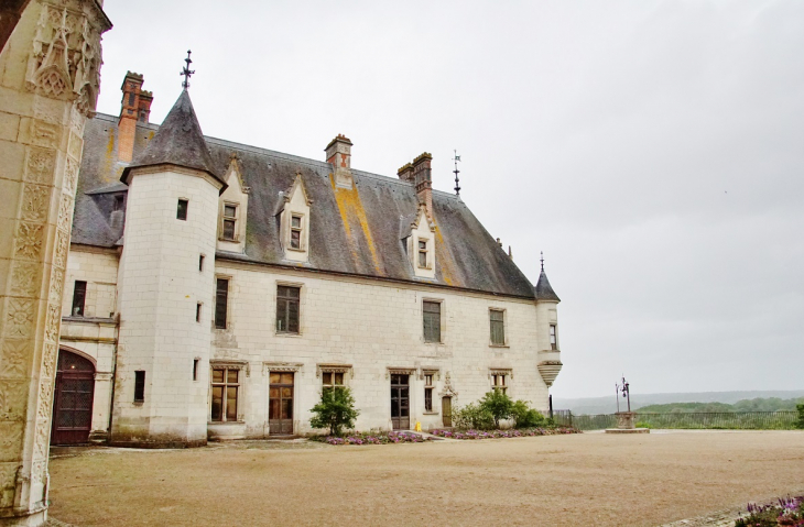Le Château - Chaumont-sur-Loire