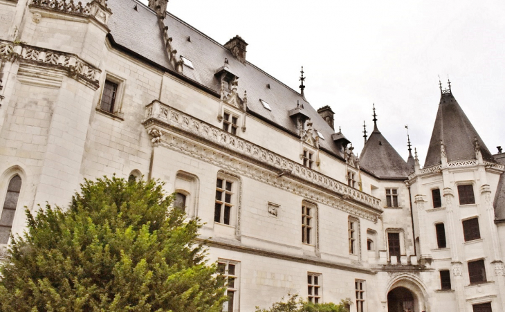 Le Château - Chaumont-sur-Loire
