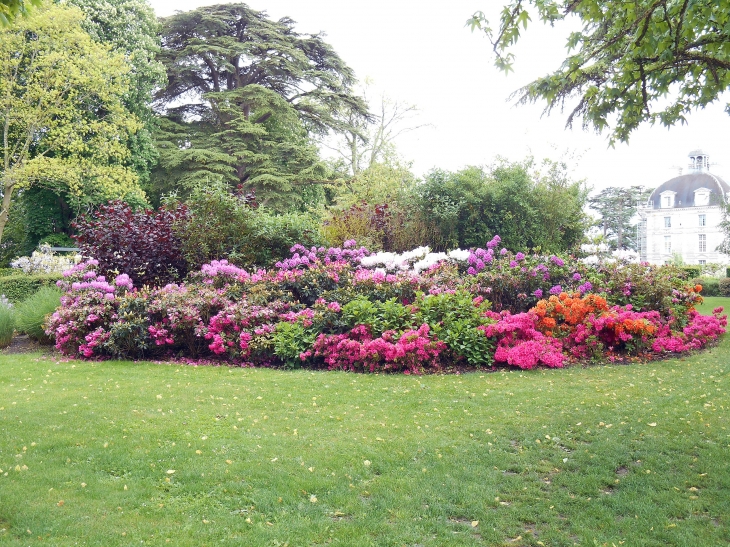 Le parc du château - Cheverny