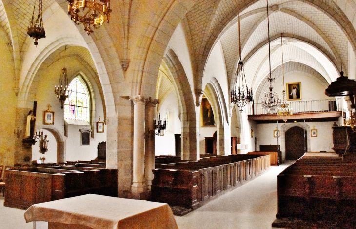 +++église saint-Etienne - Cheverny