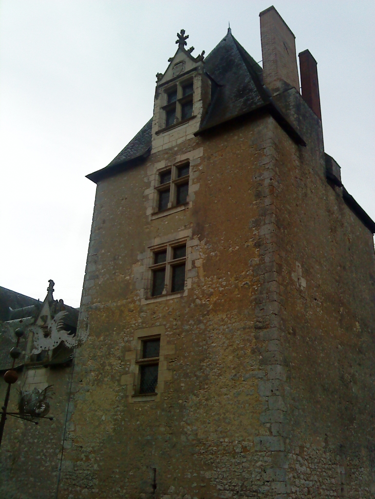 Chateau de Fougères sur Bièvre - Fougères-sur-Bièvre