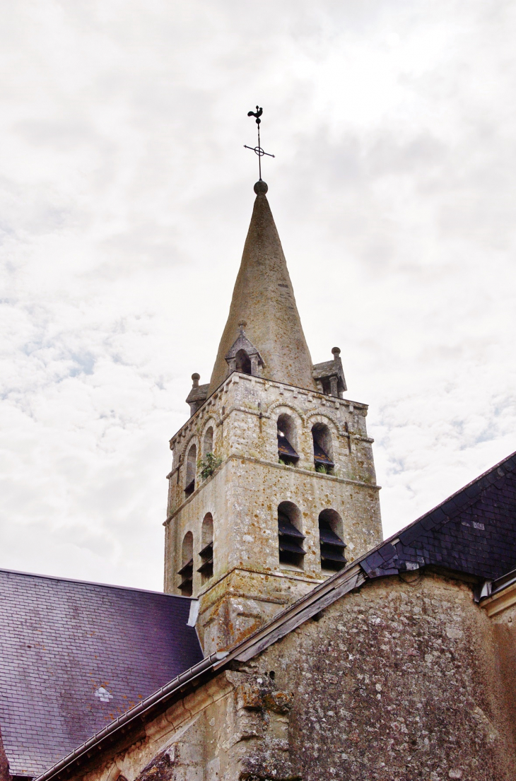  église Saint-Martin - La Chapelle-Saint-Martin-en-Plaine