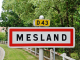 Mesland