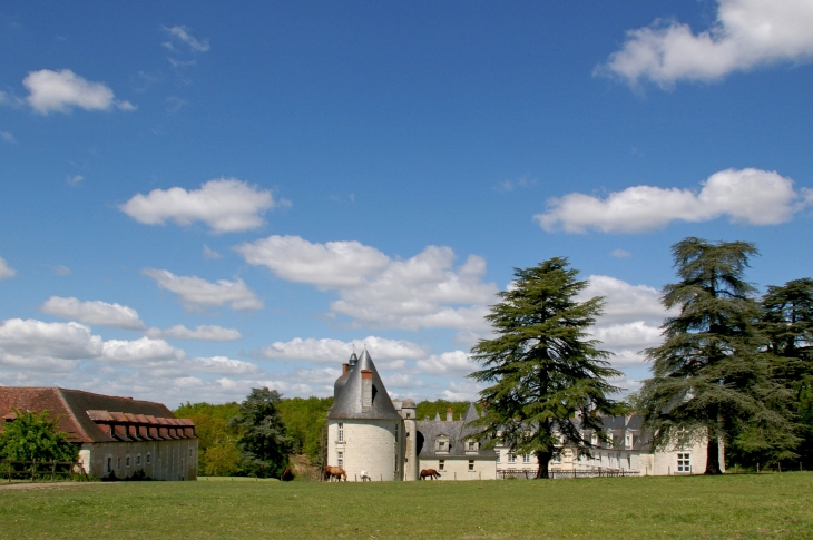 Château du Gué Péan. - Monthou-sur-Cher